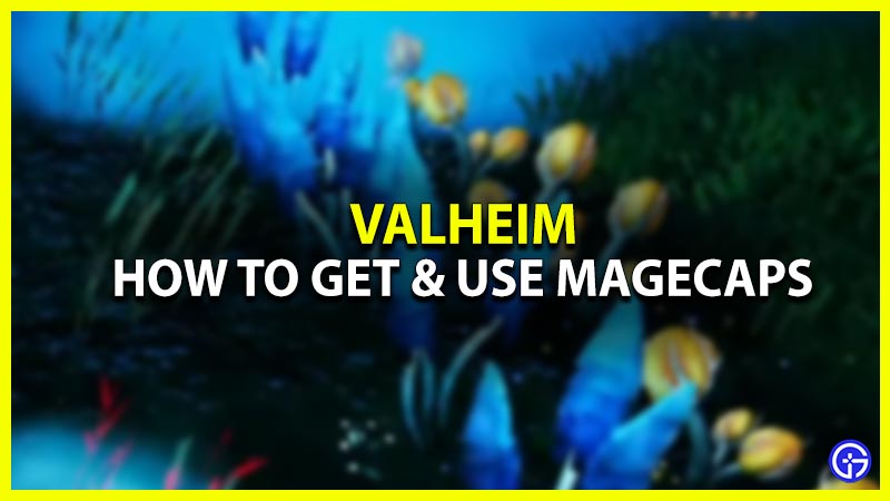 how to get & use magecaps in valheim
