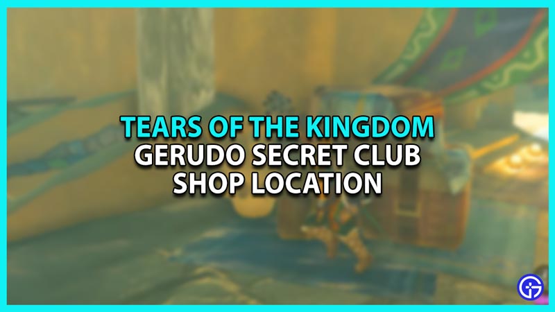 How to get to Gerudo Secret Club - ZELDA TEARS OF THE KINGDOM TOTK 