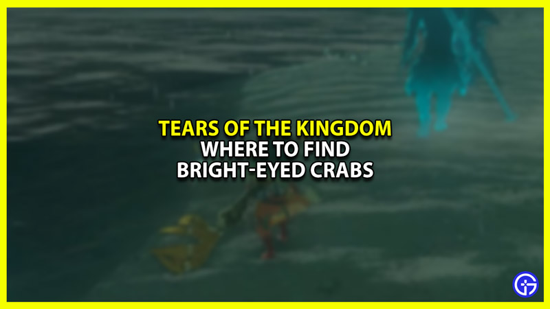 Where to Get Bright-eyed Crabs in Zelda Tears of the Kingdom (TOTK)