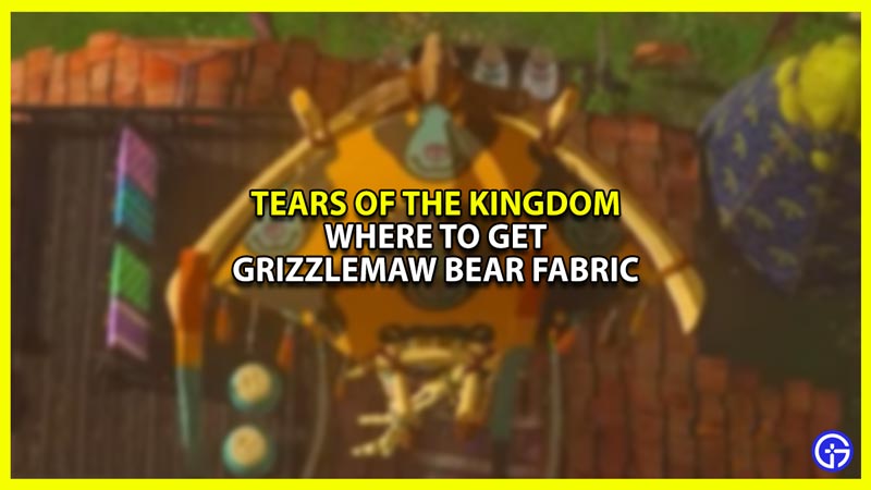 How to Get Grizzlemaw Bear Fabric in Zelda Tears of the Kingdom (TOTK)