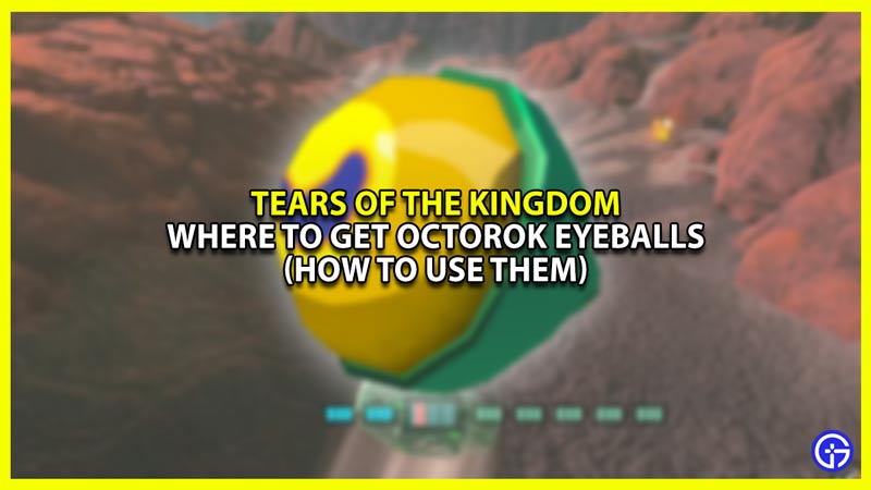 Where to find Octorok Eyeballs in Zelda Tears of the Kingdom TOTK