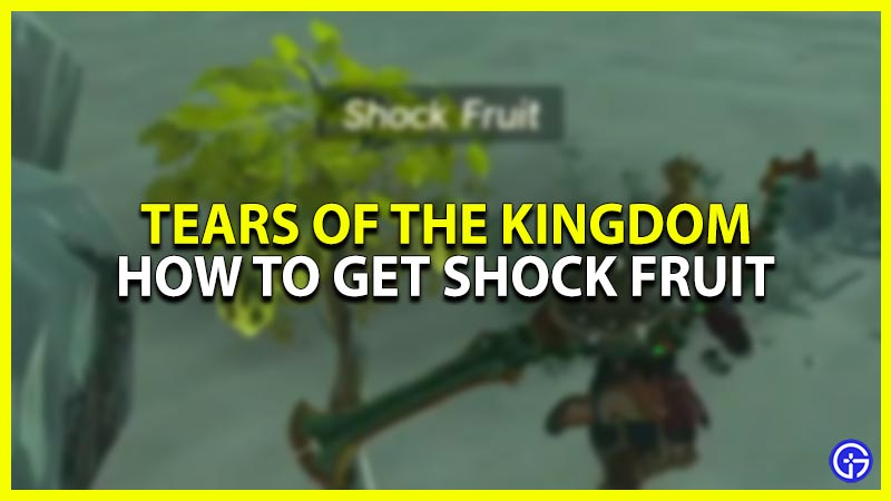 how to get shock fruit in zelda tears of the kingdom