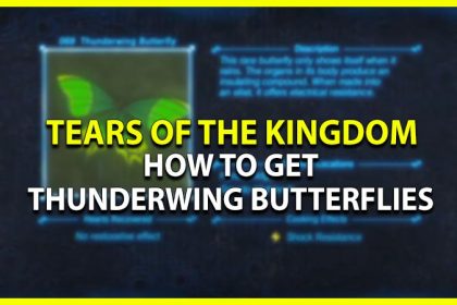 how to find thunderwing butterflies tears of the kingdom