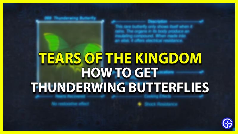 how to find thunderwing butterflies tears of the kingdom