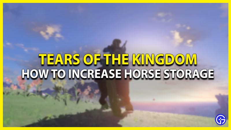 how to increase horse storage in tears of teh kingdom