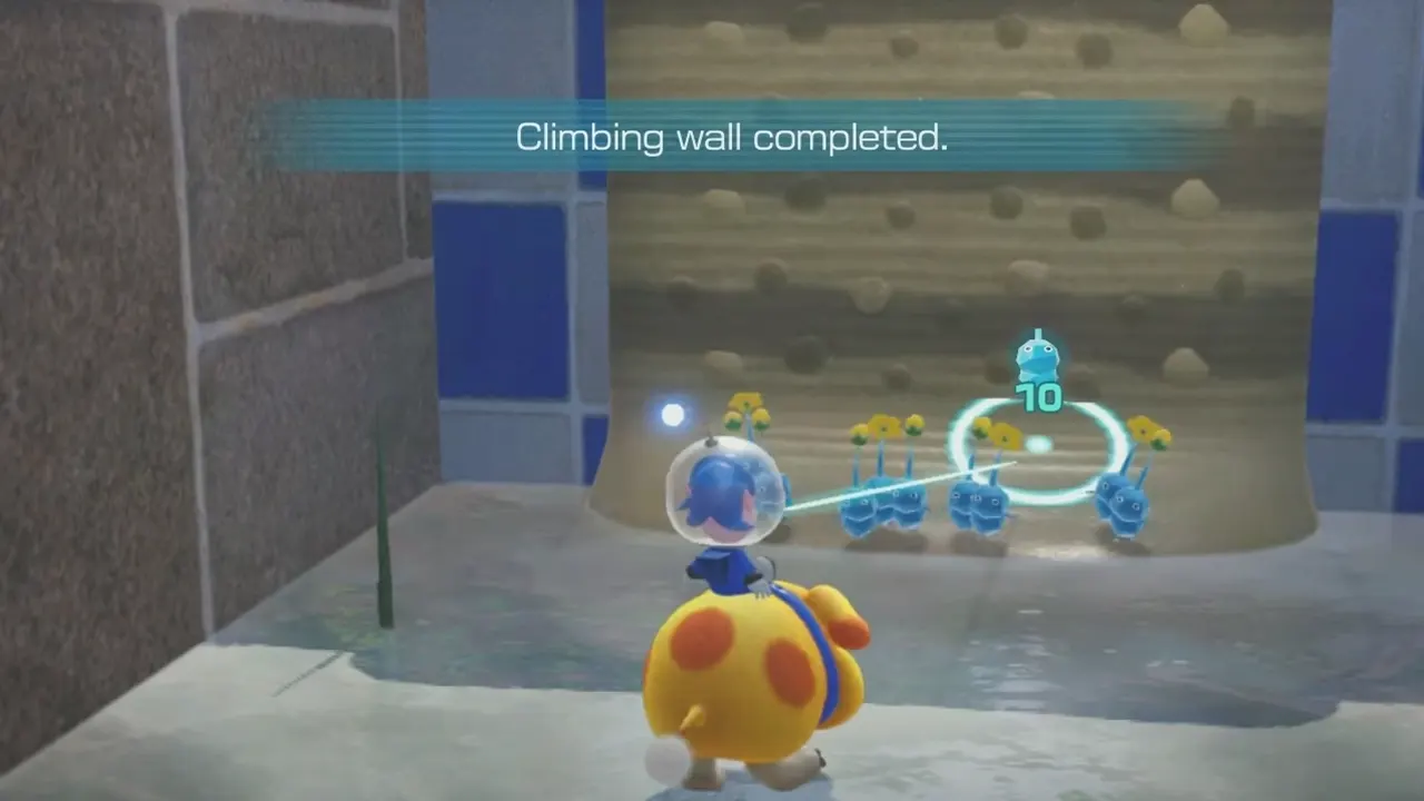 15 raw materials to complete the wall to climb to get the blue onion for blue pikmin in Pikmin 4