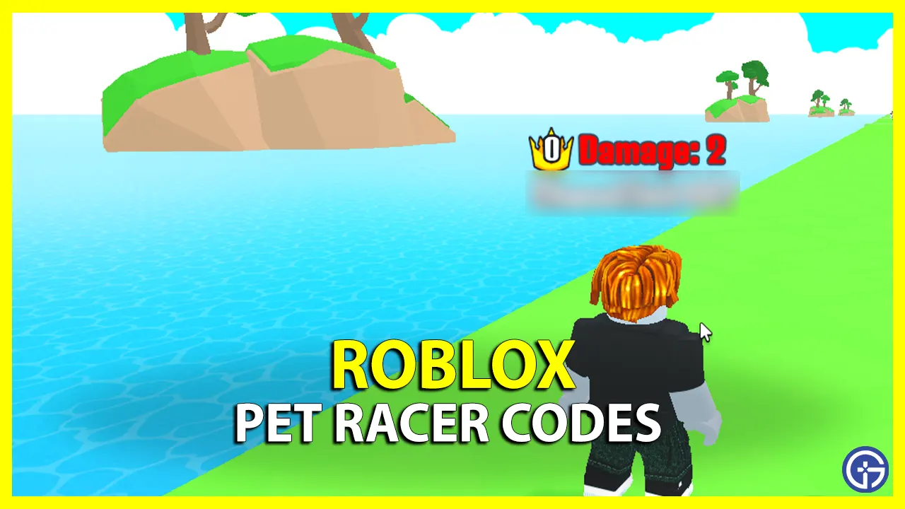 All Pet Racer Codes