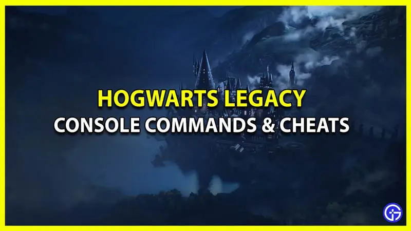 Can you Get Hogwarts Legacy Cheats & Console Commands