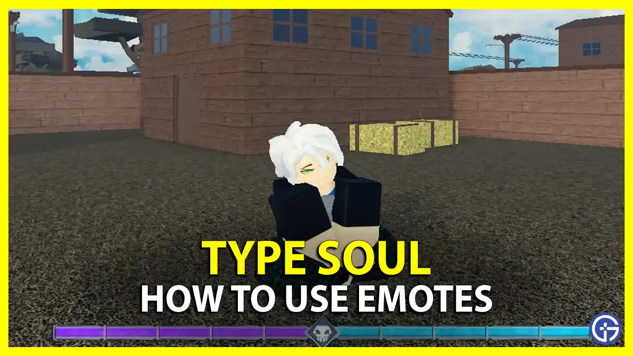 Use Emotes Type Soul full guide