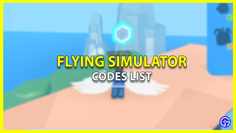 Flying Simulator Codes