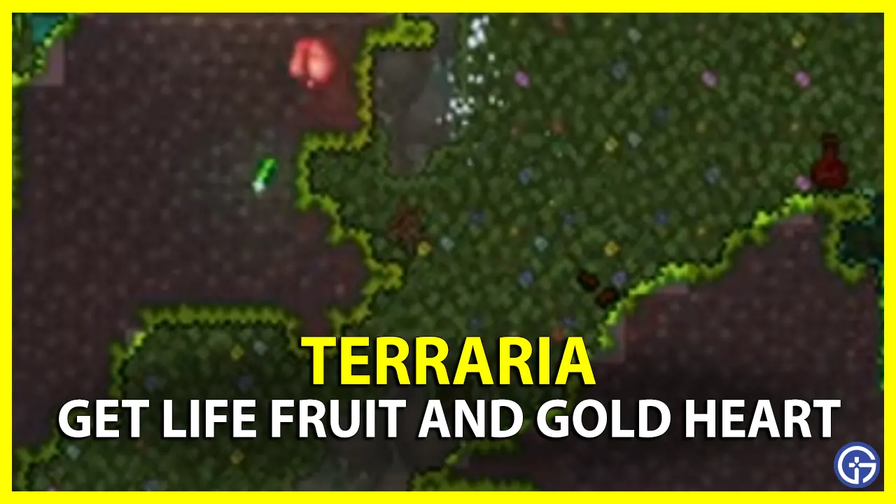 Get Life Fruit And Gold Heart Terraria
