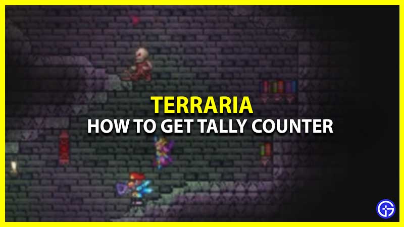 How To Get Tally Counter In Terraria