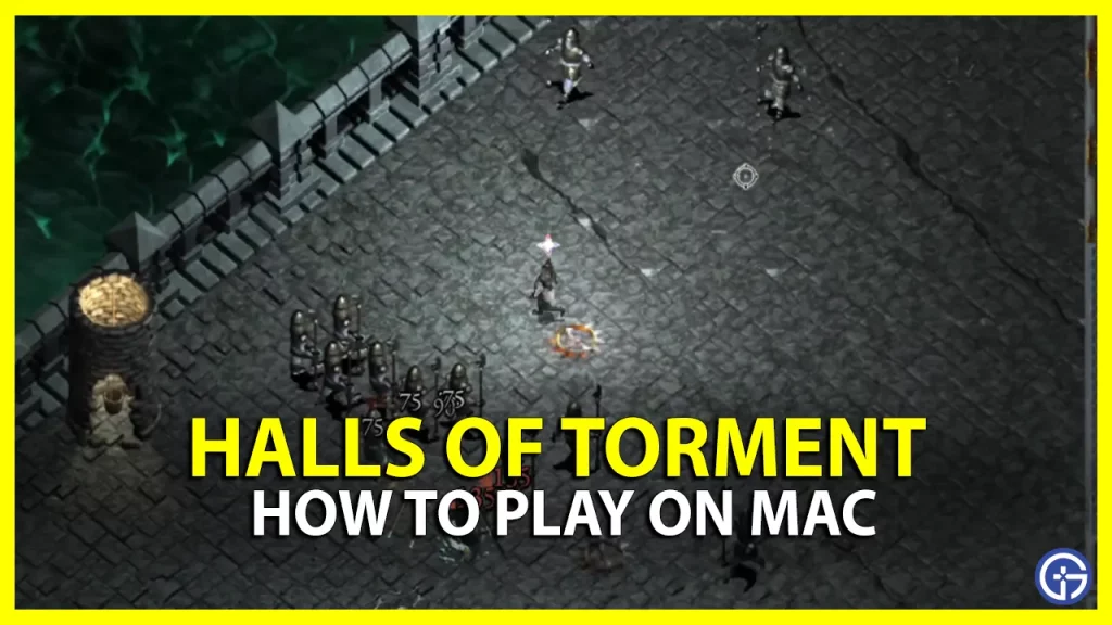 How To Play Halls Of Torment On Mac