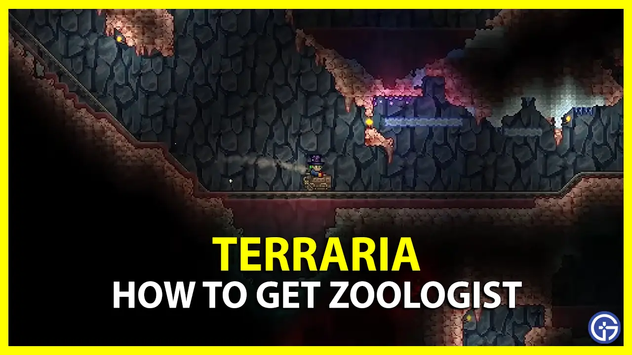 How to Find Zoologist in Terraria 1.4