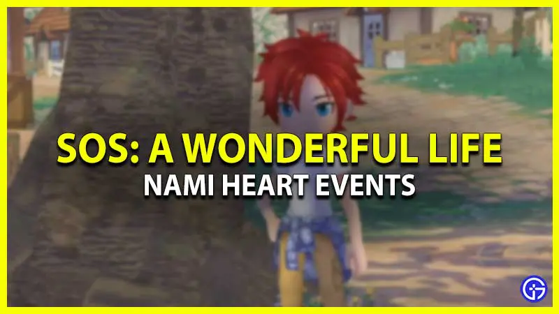 Nami Heart Events A Wonderful Life