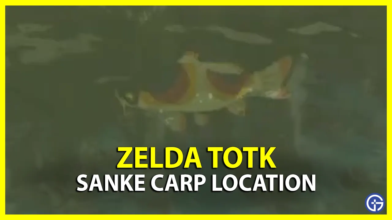 Sanke Carp Location TOTK