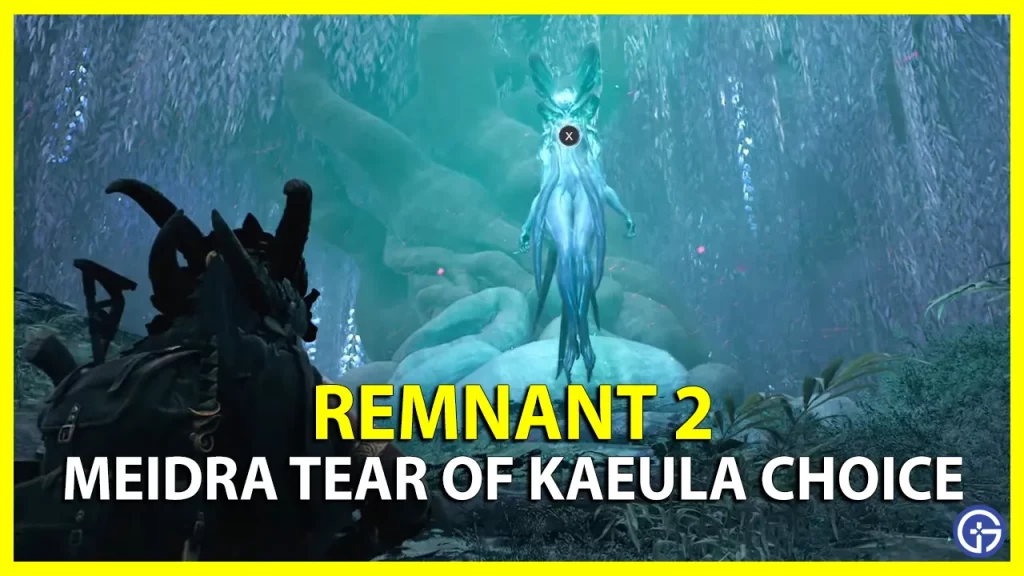 Remnant 2 Tear Of Kaeula: Return To Meidra Or Keep It?