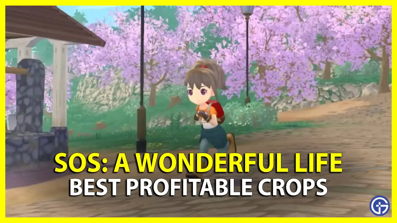 Sos A Wonderful Life best hybrid profitable crops to sell for gold