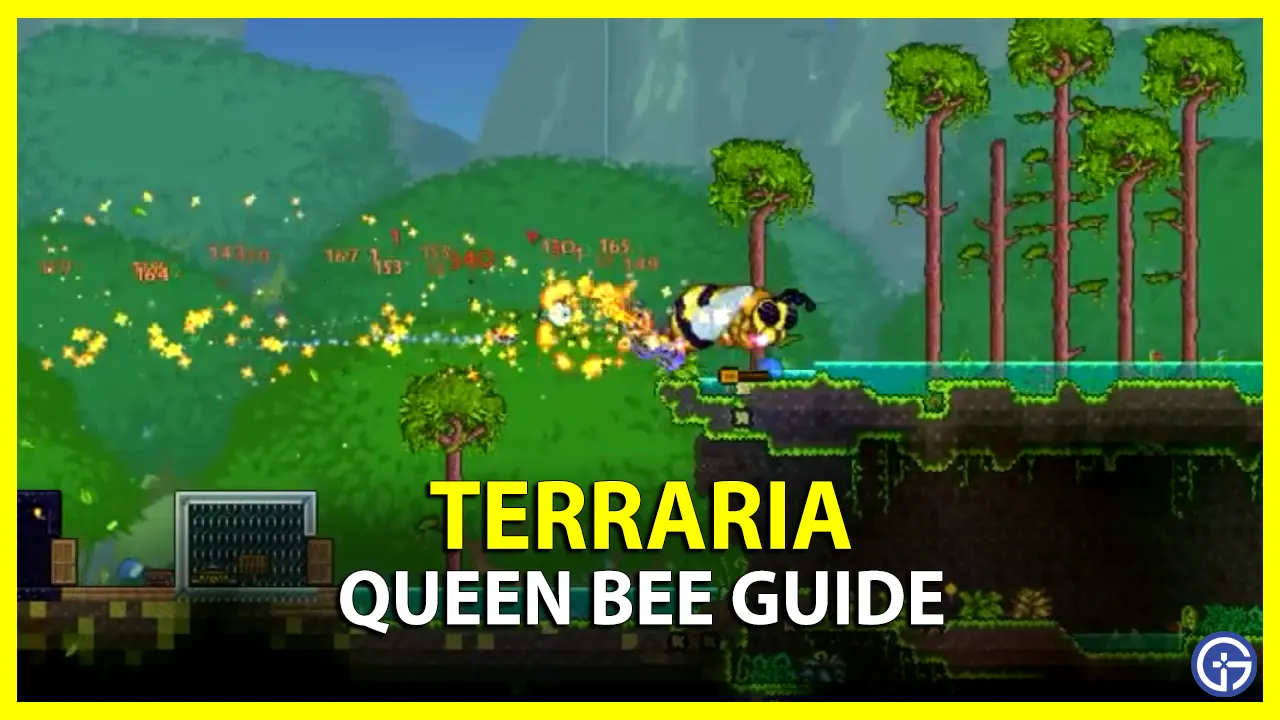 Terraria Queen Bee Guide