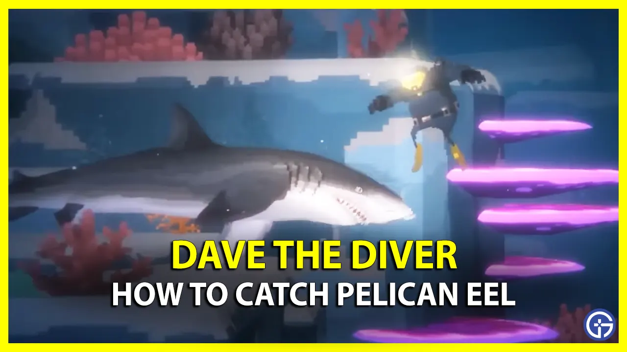 Where to Find Pelican Eel in Dave the Diver (Location)
