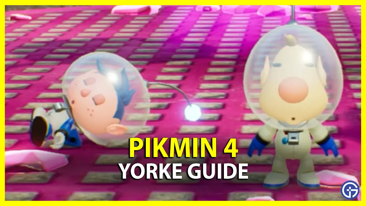 Yorke Guide Pikmin 4