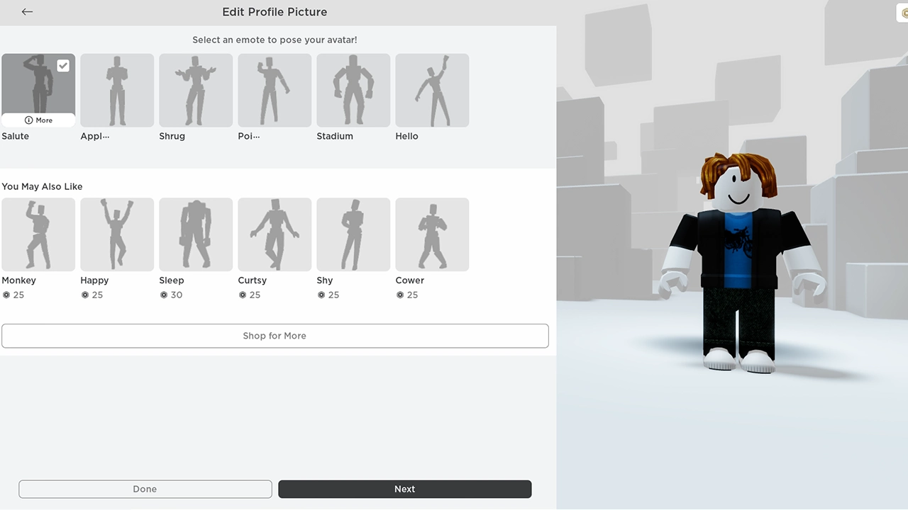 PrintVersion's Profile in 2023  Roblox, Profile, Make it yourself