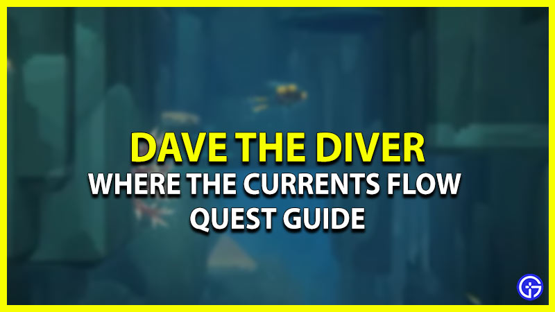 where the currents flow quest guide dave the diver