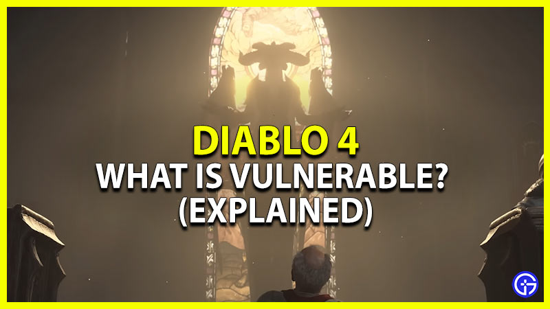 diablo 4 vulnerable explained
