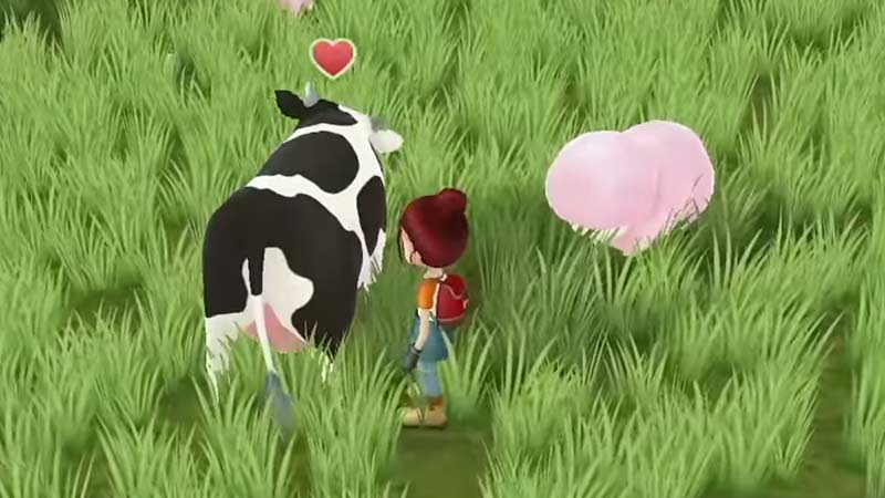 grow grass in story of seasons a wonderful life