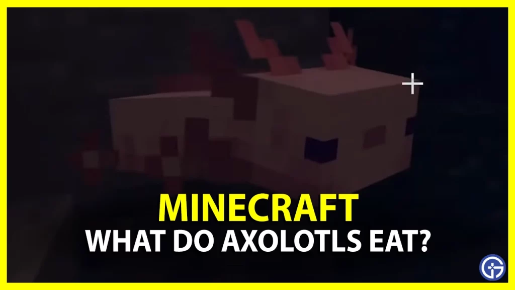 what do axolotls eat in minecraft