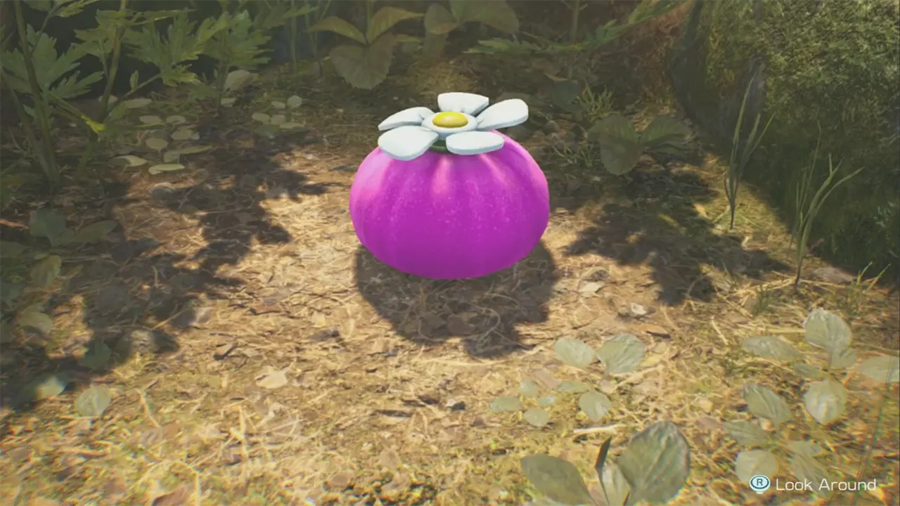get pink onion in pikmin 4 
