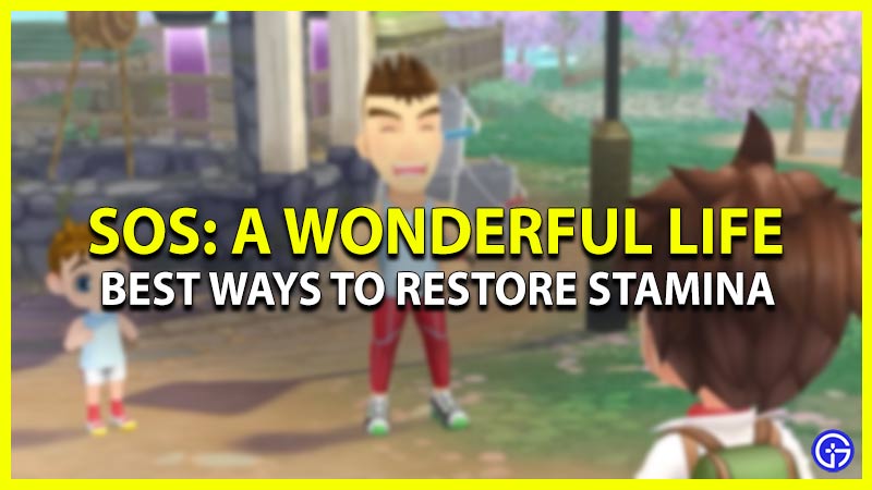 best ways to restore stamina in story of seasons a wonderful life