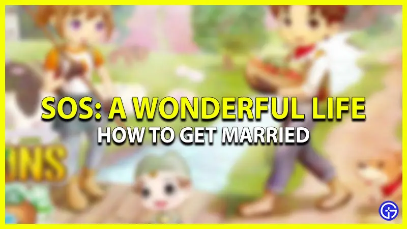 how to get married in story of seasons a wonderful life