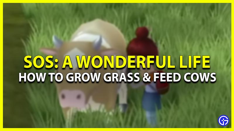 how to grow grass in story of seasons a wonderful life
