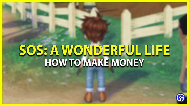 how to make money in story of seasons a wonderful life