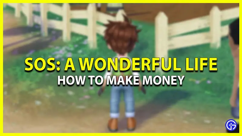 how to make money in story of seasons a wonderful life