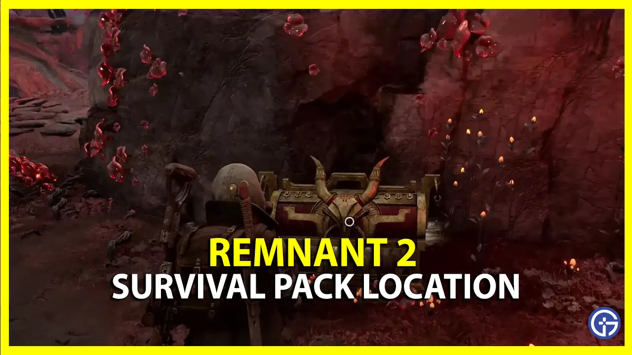 survival pack location in remnant 2
