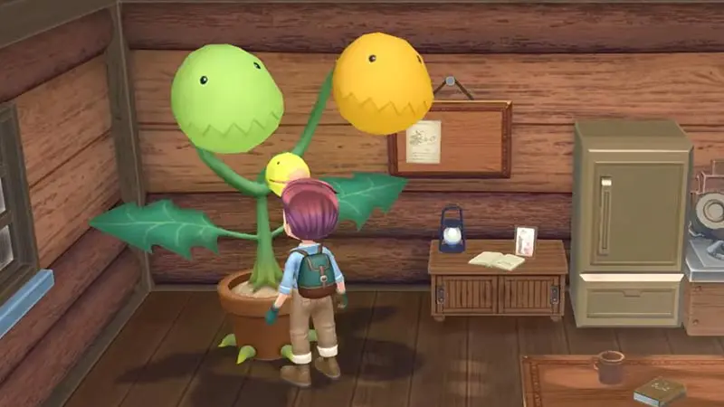 vinnie in story of seasons a wonderful life