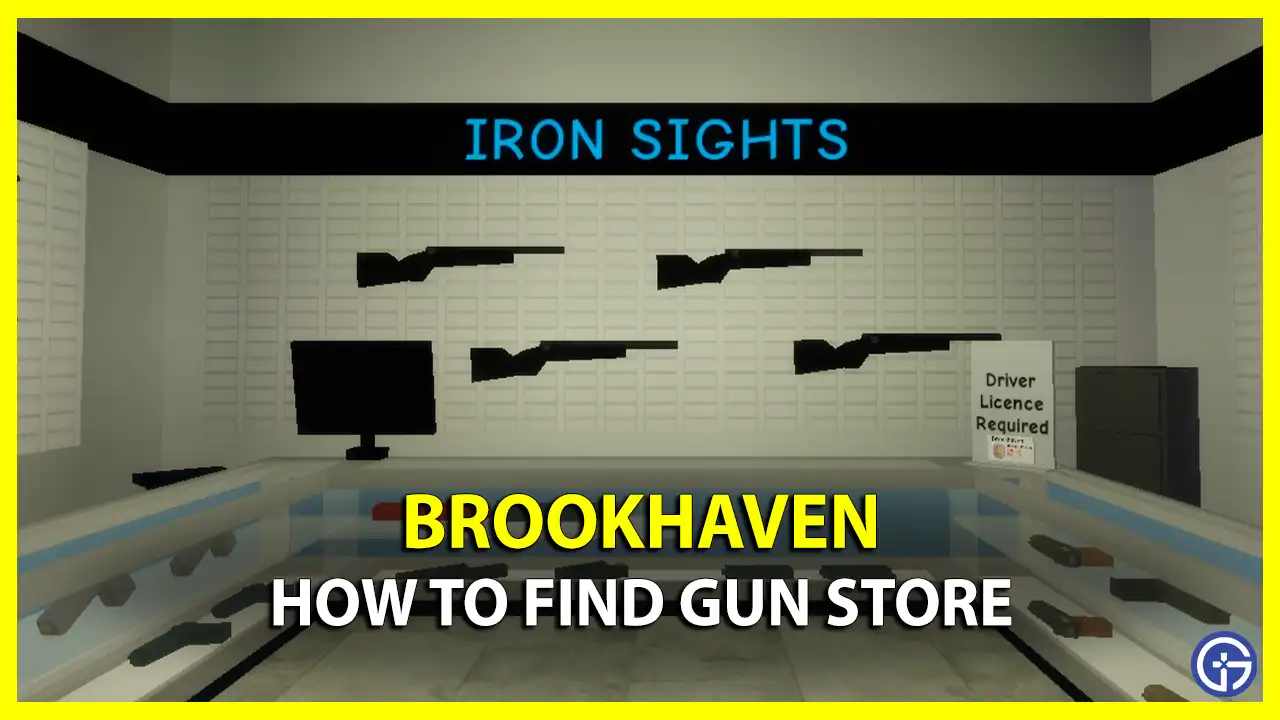 where to find exact location guns store brookhaven