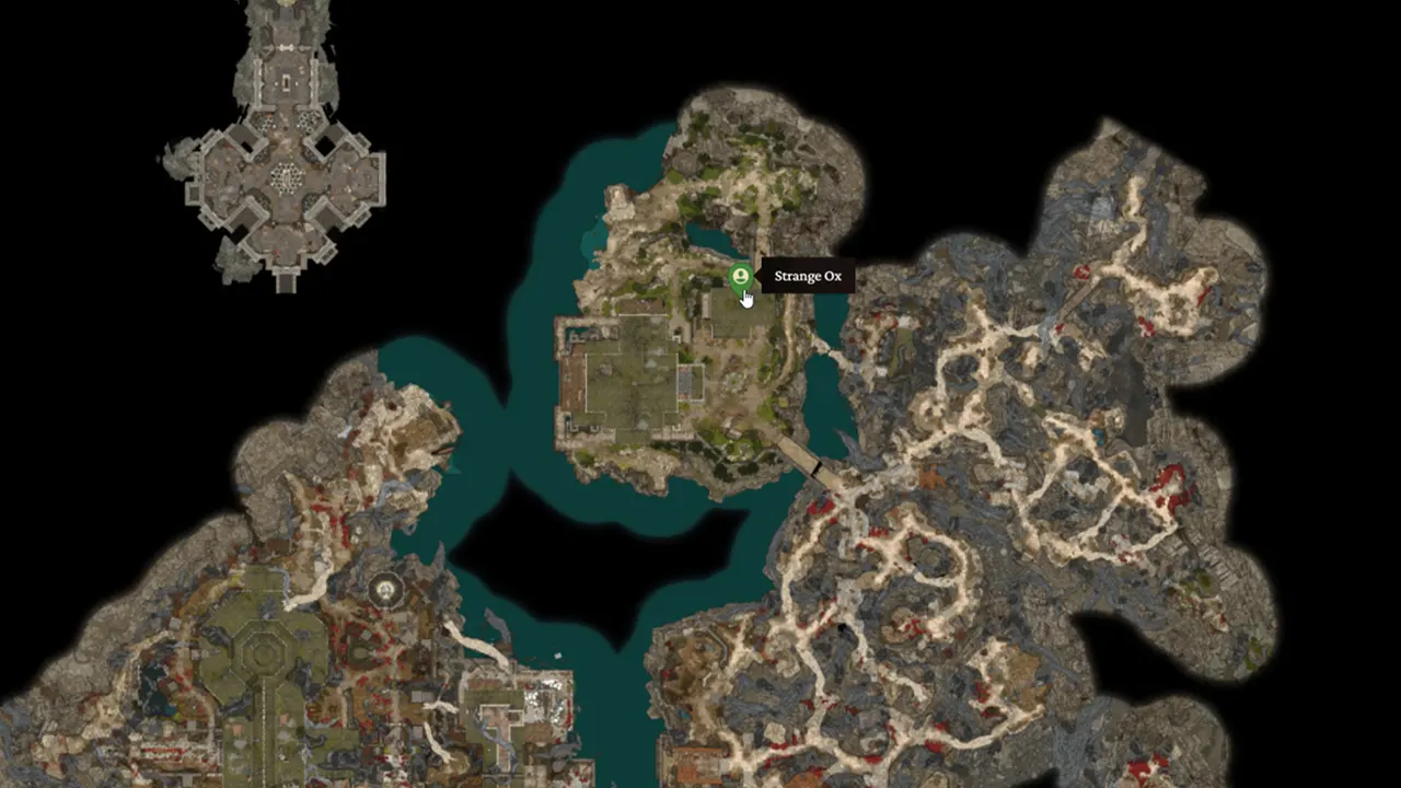 Strange Ox Location in Baldur's Gate 3 Act 2