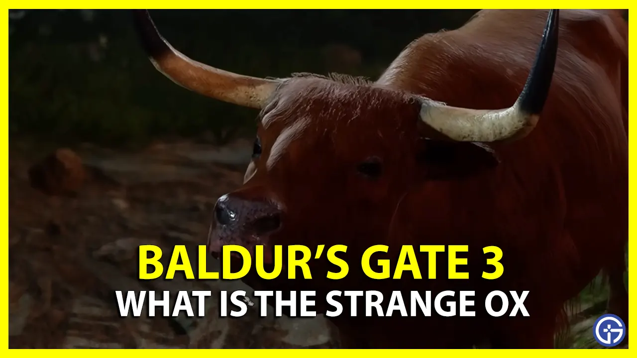 Strange Ox in Baldur's Gate 3 (BG3)