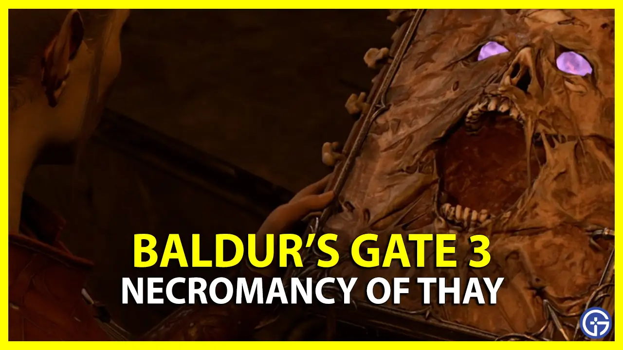 Baldur's Gate 3: How to Find & Open or Destroy the Necromancy of Thay?