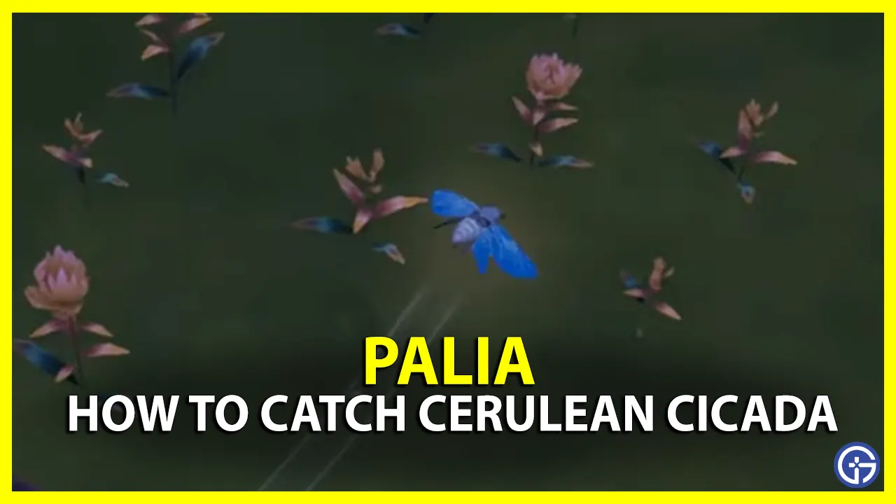 How To Get Cerulean Cicada In Palia