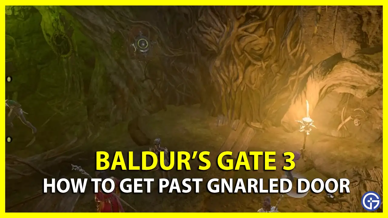 How To Open Gnarled Door In Baldur’s Gate 3 (BG3)