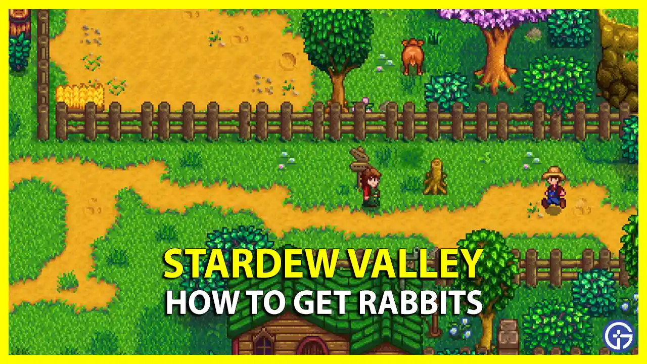 How To Get Rabbits In Stardew Valley