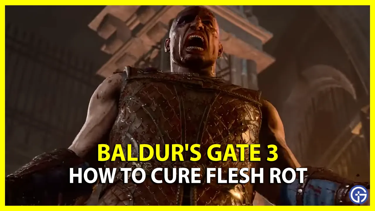 Where to Find Cure for Flesh Rot in Baldur's Gate 3 rotting flesh diseases BG3 BG 3