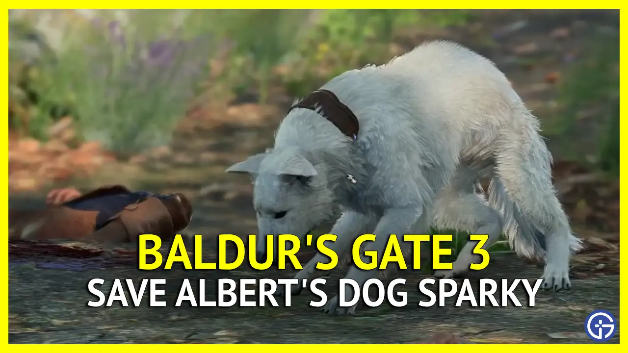How to Stop Albert’s Dog Sparky in Baldur's Gate 3 (BG3)