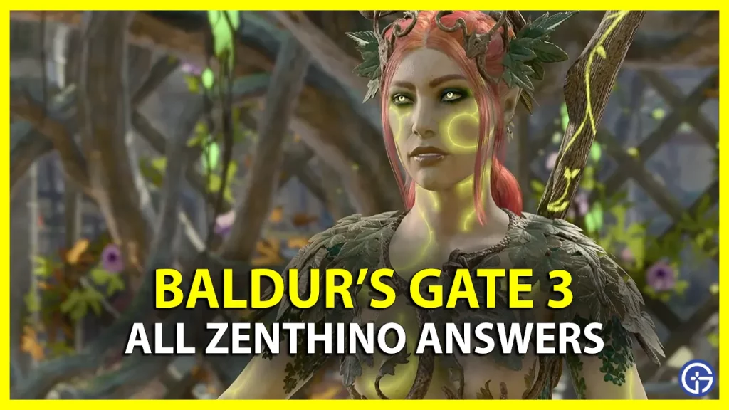 zethino baldurs gate 3 bg3