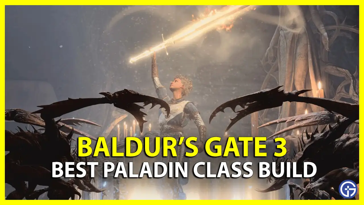 Baldur's Gate 3: Best Paladin Class Build