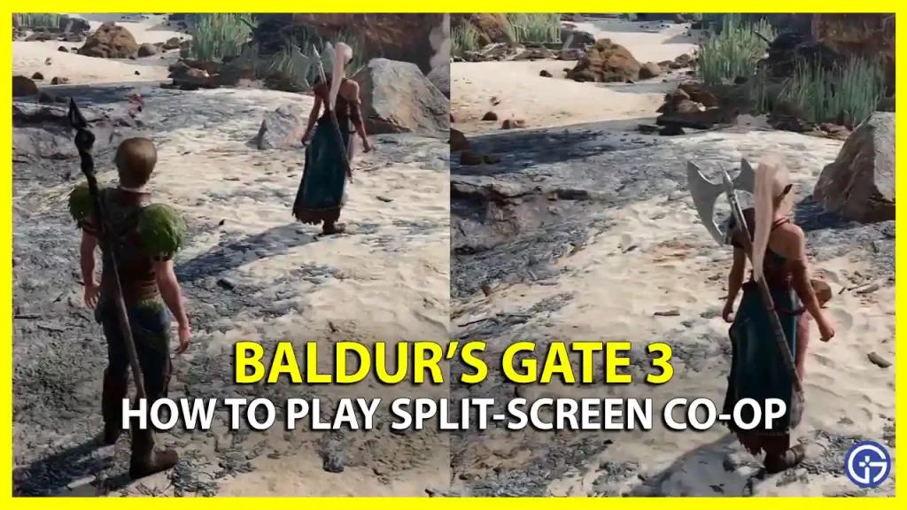 baldur's gate 3 split-screen co-op